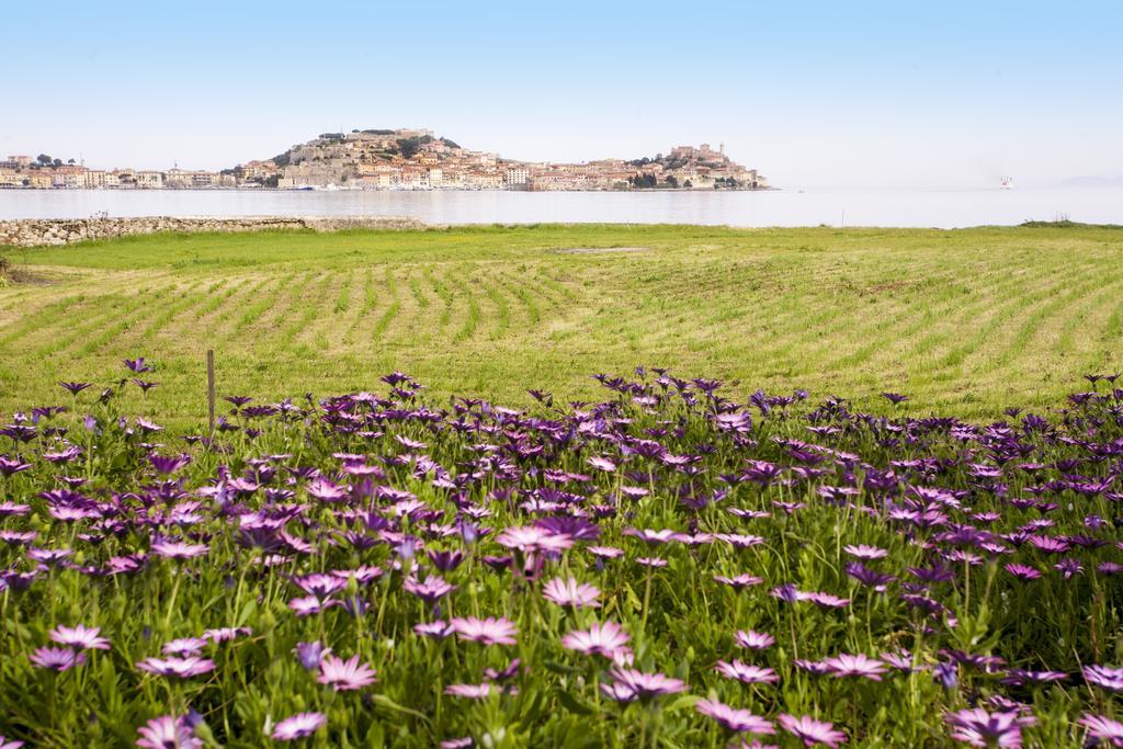 Appartamento Podere San Marco Portoferraio Bagian luar foto